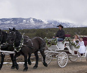 Horse Drawn Carriage Ride